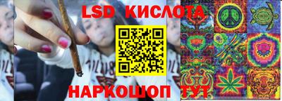 дурь Славгород
