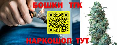 соль ск Сланцы