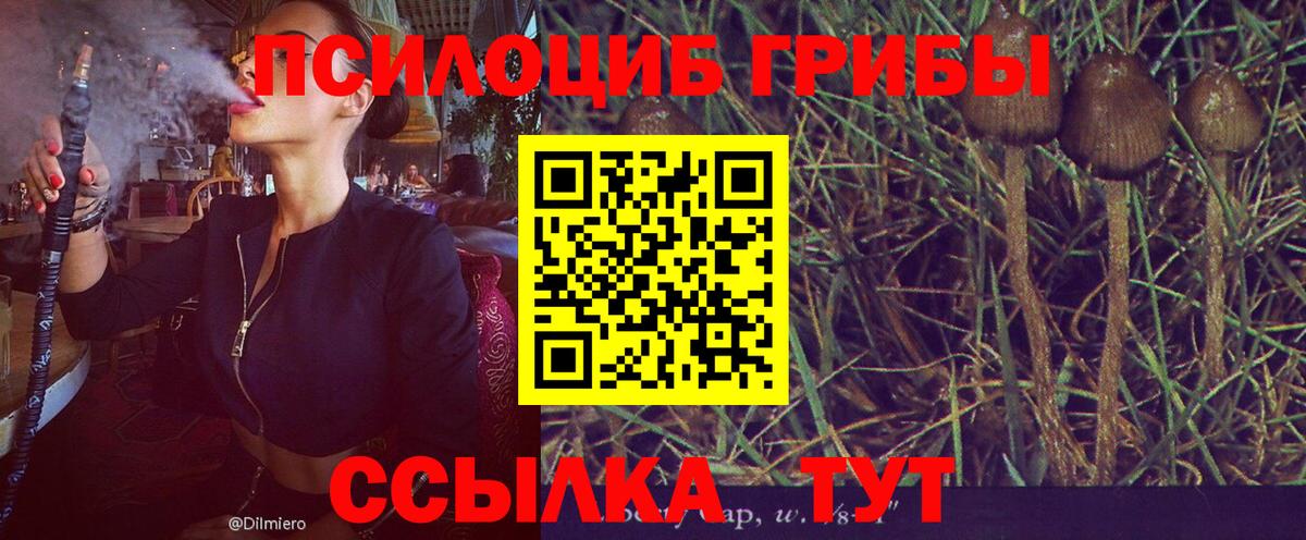 Надым  Галлюциногенные грибы ЛСД  Псилоцибиновые грибы Cubensis  Вход с VPN 