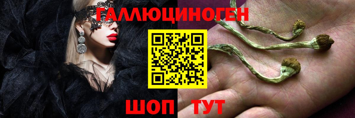 Псилоцибиновые грибы MAGIC MUSHROOMS Надым